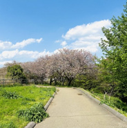 千葉県船橋市東船橋近辺の画像