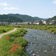 埼玉県日高市近辺の画像