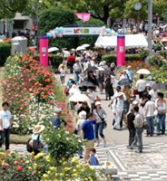 広島県福山市近辺の画像