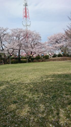 埼玉県川越市むさし野近辺の画像