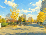 奈良県天理市田井庄町近辺の画像