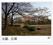 東京都江東区毛利近辺の画像