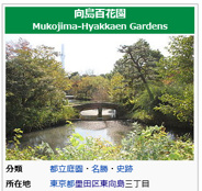 東京都墨田区向島近辺の画像