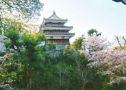 愛知県西尾市近辺の画像