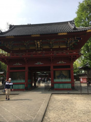 東京都文京区根津近辺の画像