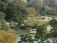 東京都文京区本駒込近辺の画像