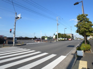 新井宿近辺の画像