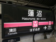 蓮沼近辺の画像