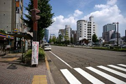 車道近辺の画像