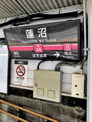 蓮沼近辺の画像