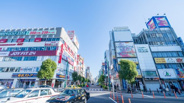 蕨近辺の画像