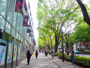 表参道近辺の画像