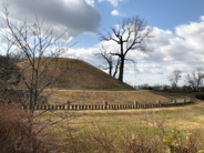服部川近辺の画像