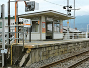 小井川近辺の画像