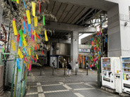 立会川近辺の画像