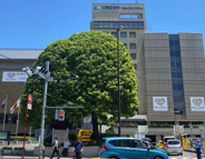 東陽町近辺の画像