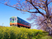 真岡近辺の画像