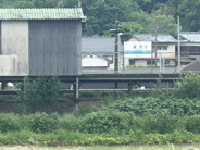 波方近辺の画像