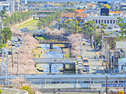 芦屋川近辺の画像