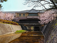 香櫨園近辺の画像