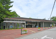 井の頭公園近辺の画像