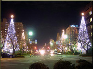 国立近辺の画像