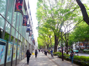 明治神宮前近辺の画像