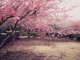 円行公園の画像