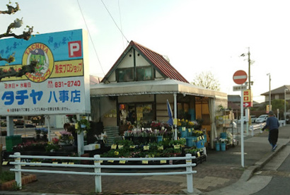 タチヤ 八事店の画像1