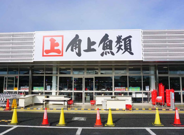 角上魚類の画像1