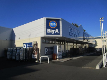 ビッグエー　さいたま新堤店の画像1