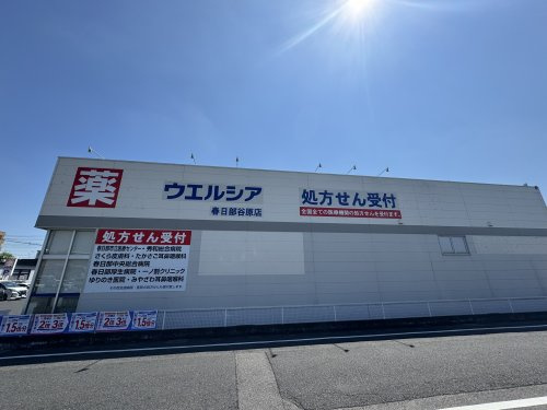 ドラッグストア ウエルシア春日部谷原店