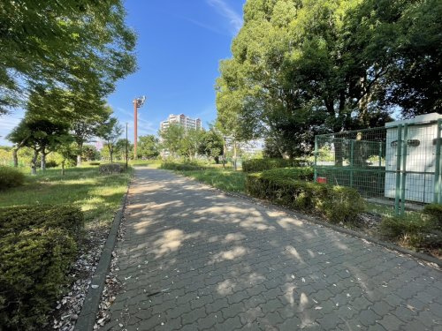 白井市立南山公園の画像