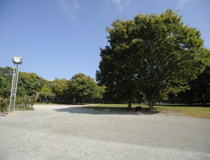 第一カッター　きいろ公園