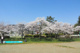 緑ヶ丘公園の画像