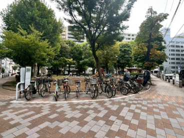 公園の画像1