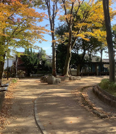 松渓公園の画像1