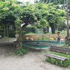 西田公園の画像1