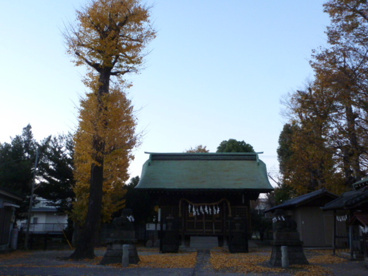鳩ヶ谷総鎮守 氷川神社の画像2