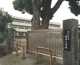 岡本小学校の画像