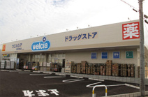 ドラッグストア ウエルシア取手青柳店