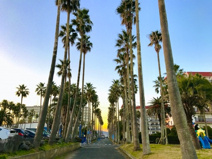 リビエラ逗子マリーナ