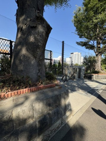 港区立高陵中学校の画像1