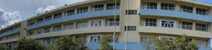 城山小学校
