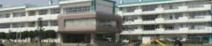桜小学校
