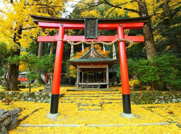 岩戸落葉神社の画像1
