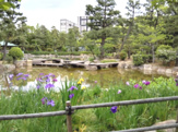 公園 西浜公園