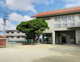 光の子幼稚園の画像