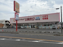 スーパードラッグひまわり鴨方店