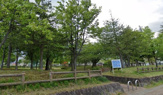 小比内公園
